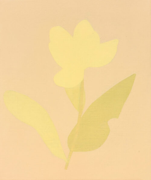 Manuel Stehli, no title (tulip-4), 2024, oil on wooden plate, 30 x 25 cm_